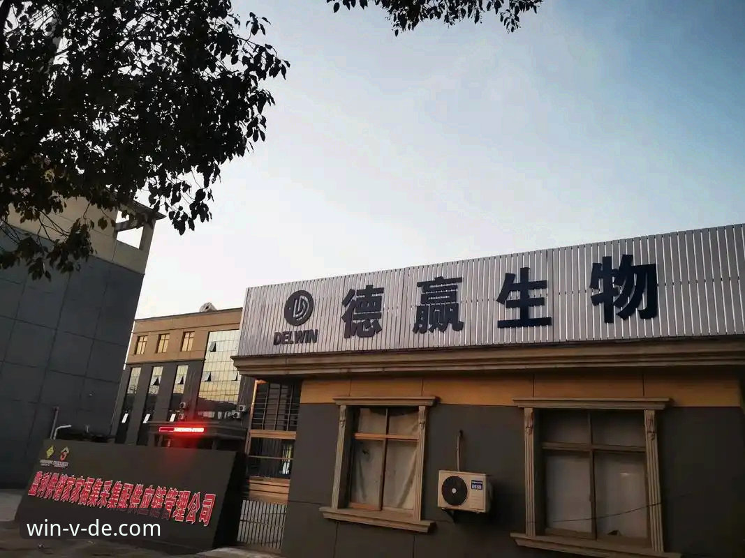 资深用户分享德赢体育安装指南：从下载到VIP特权，一篇搞定使用心得